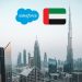 Salesforce Implementation in Dubai: Surviving the Wild West of Business Tech