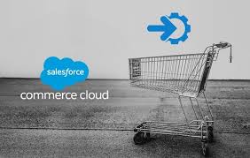 Optimizing Paris E-Commerce with Salesforce CRM